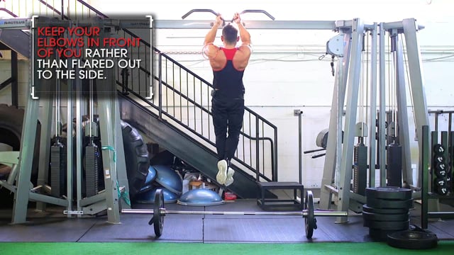 Bicep Tip of the Day