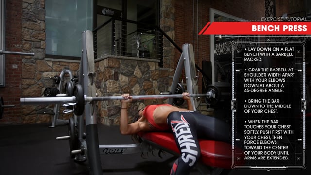 The Bench Press