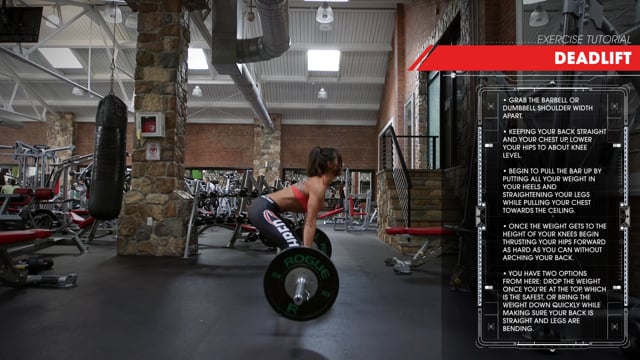 Dumbbell Concentration Curls