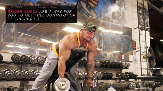 The Deadlift