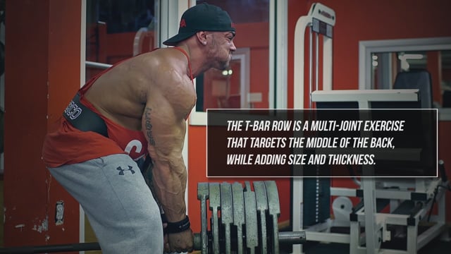 Tricep Rope Push Down