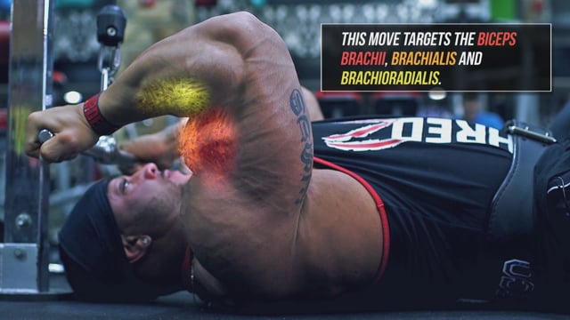 Strength and Conditioning with Nikki