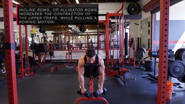 Lat Pull Over