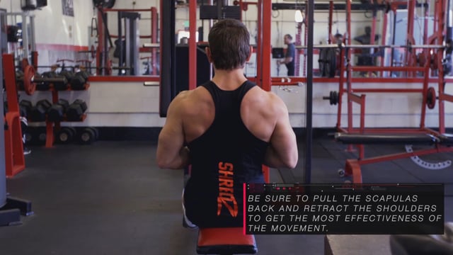 Dumbbell Shrugs