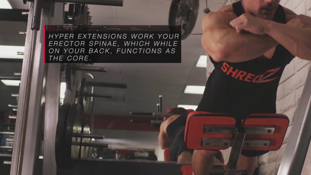 One Arm Dumbbell Row