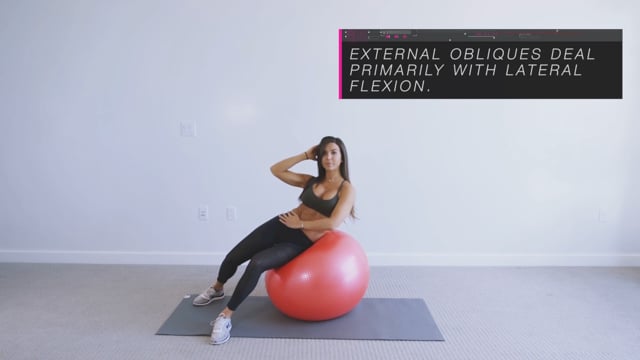 Basic Crunches