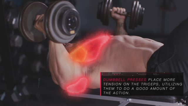 Cable Front Squats