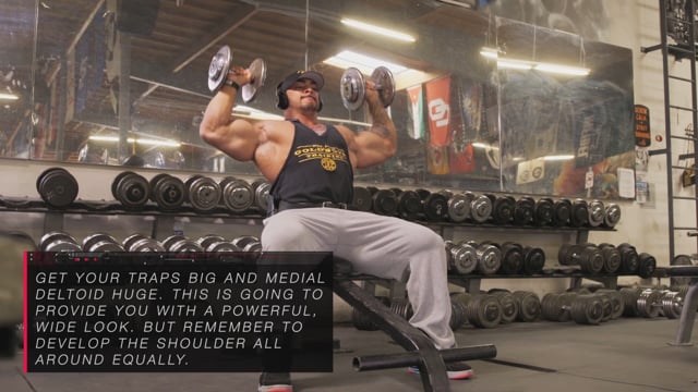 Seated Shoulder Dumbbell Presses