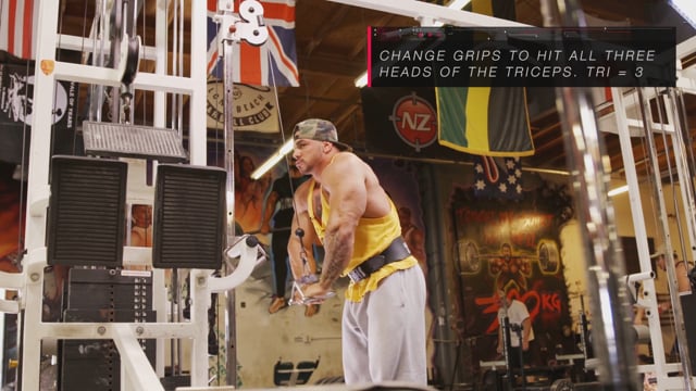 Barbell Hip Thrusters