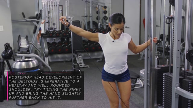 Bent Over Dumbbell Reverse Flys