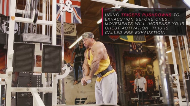 Decline Dumbbell Curls