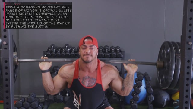Cable Lat Rope Pull Down