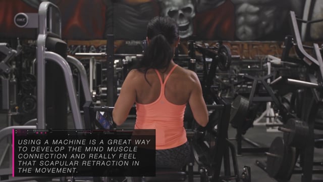 Hammer Strength Low Row