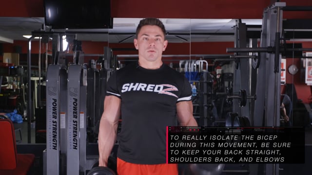 Standing Straight Bar Curls