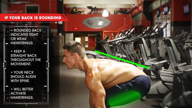 Deadlift 101 (Part 3) : Stretching & Mobility