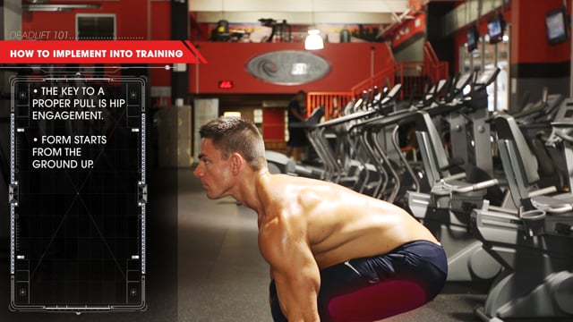 Rope Cable Curl & Overhead Rope Tricep Extensions