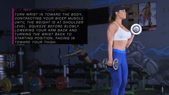 Dumbbell Hammer Curls