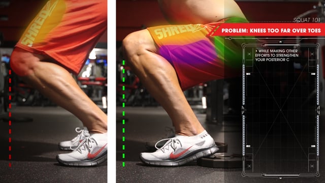 Squat 101 : Understanding the Movement