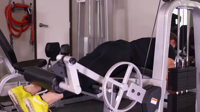 Lying Hamstring Curls