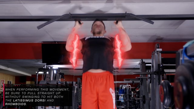 Standing Alternating Dumbbell Curls