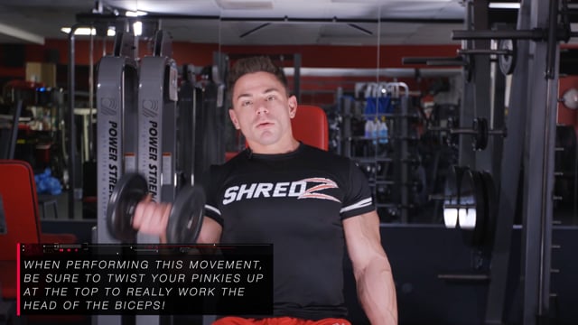 Standing Overhead Cable Rope Tricep Extensions