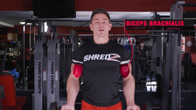 Deficit Sumo Deadlift