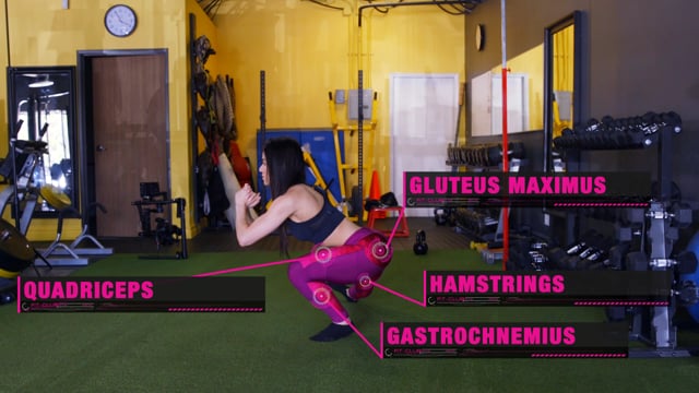 Bent Over Dumbbell Row
