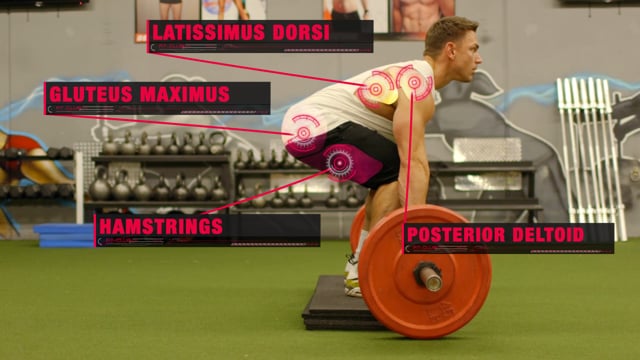 Pause Back Squats
