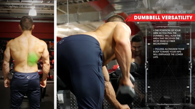 Dumbbell Row 101 : Maximizing Your Results