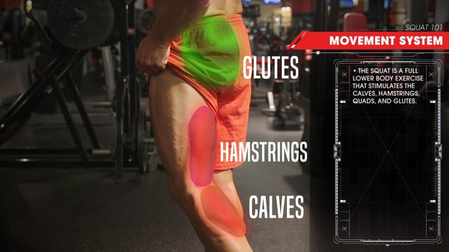 Dumbbell Row 101 : Workout Challenge