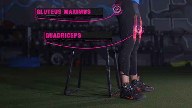 The Box Sumo Deadlift