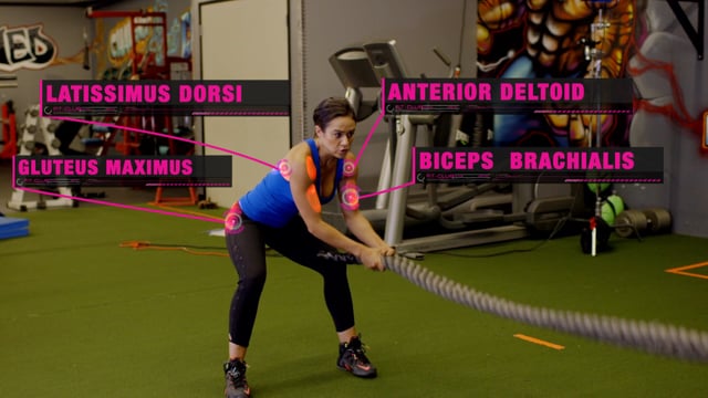 The Box Back Squat