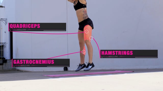 Burpee