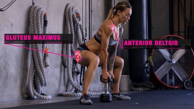 Dumbbell Sumo Squats