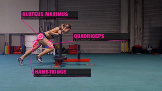 Sled Sprint Pushes