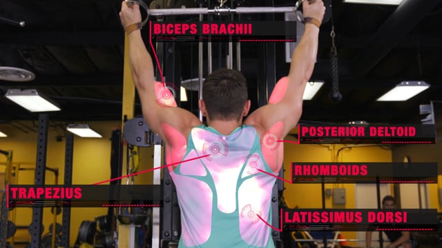 Neutral Grip Lat Pulldowns