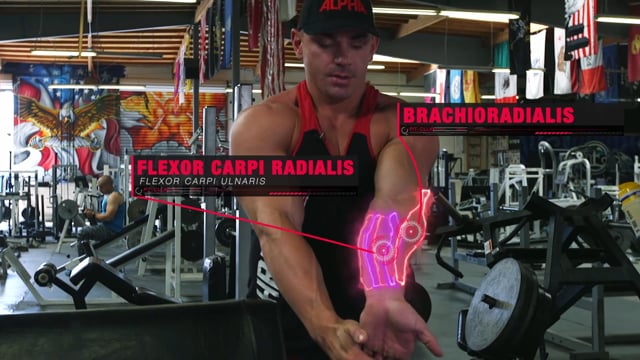 Intermittent Stretching Arms Workout