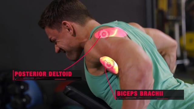 Incline Dumbbell Rows