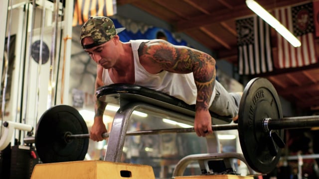 Seal Rows