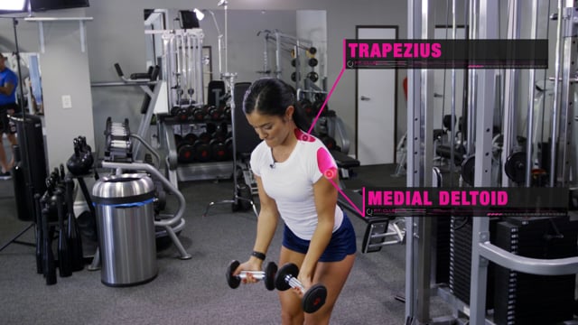 Gym Equipment and YOU