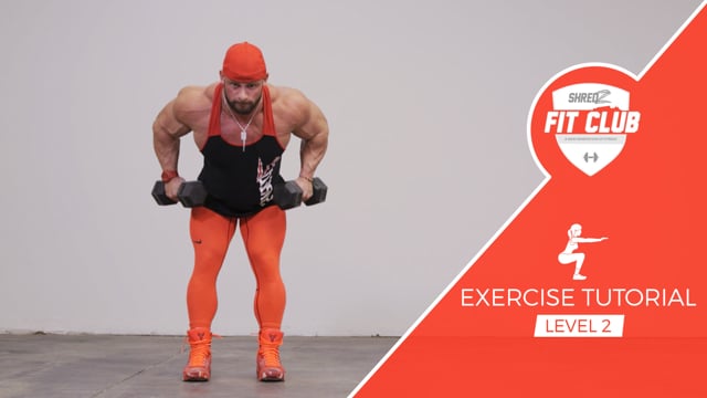 Bent Over Row
