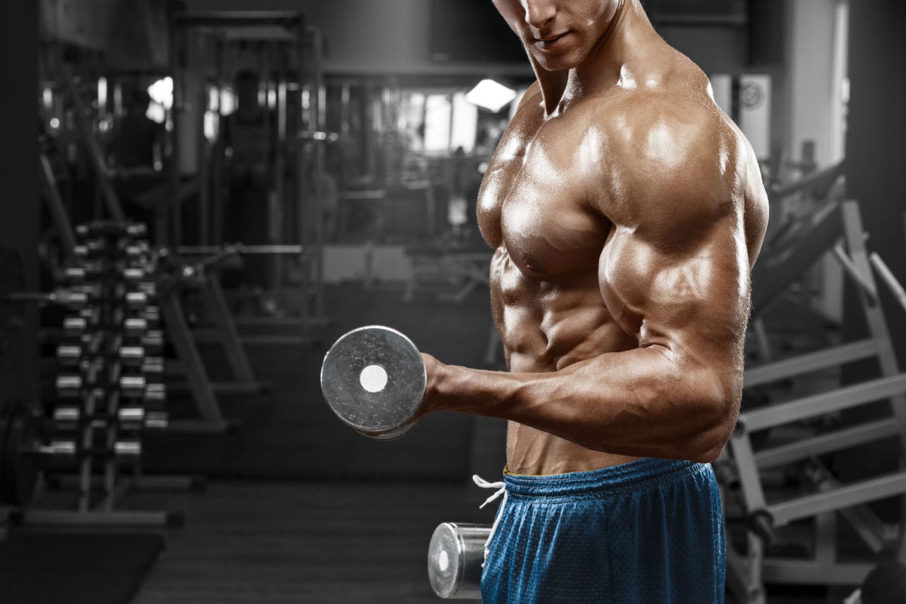 Bicep Breakdown