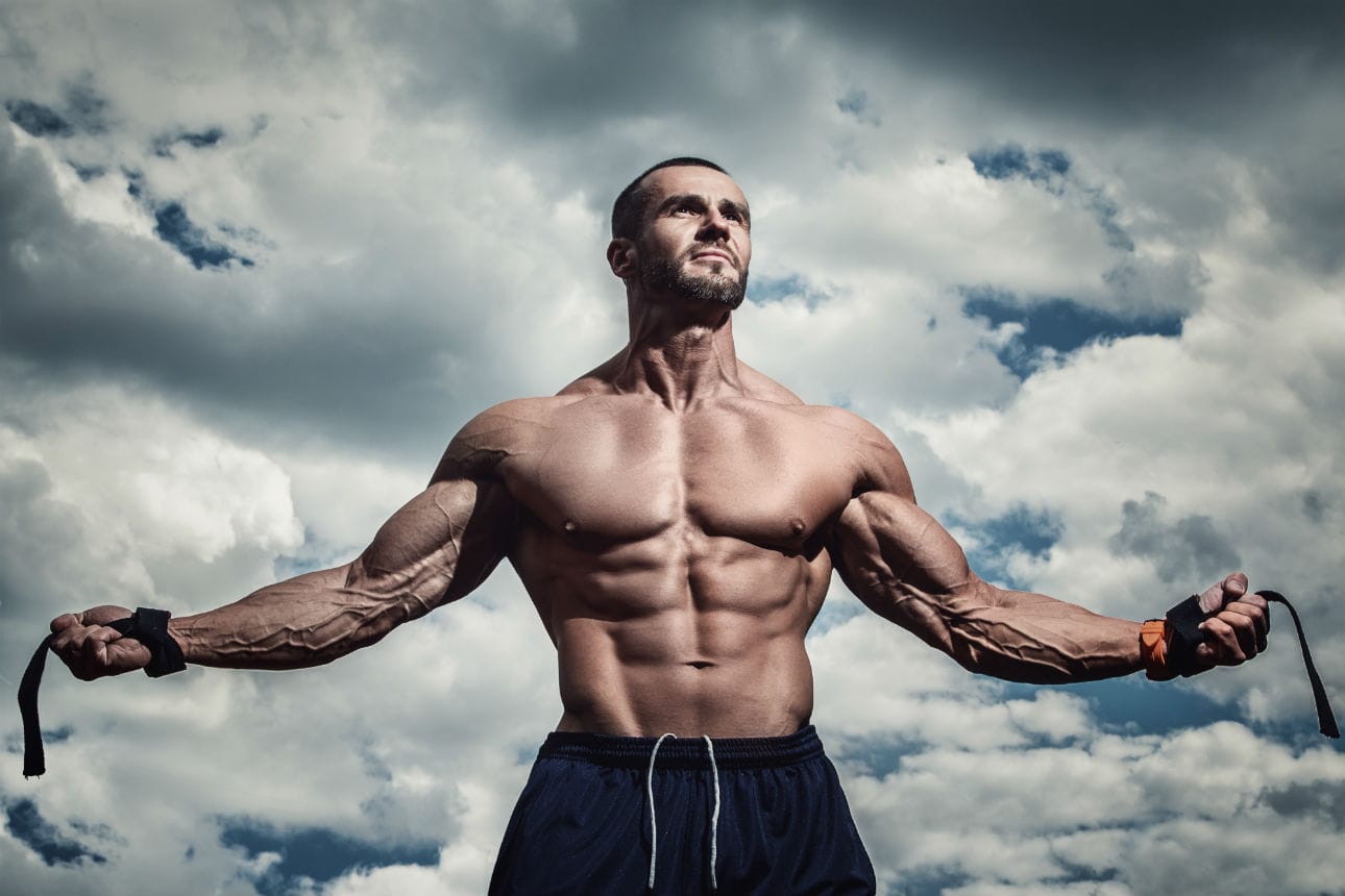 Understanding Muscle Growth