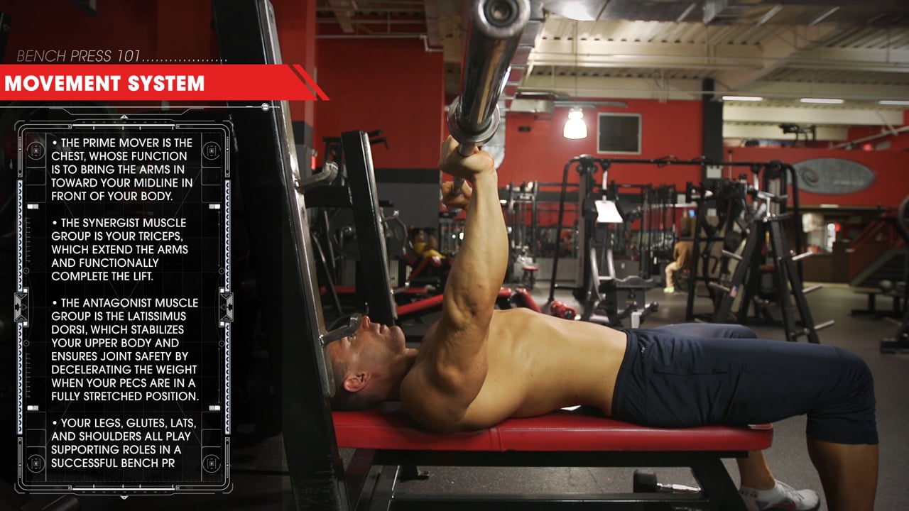 Bench Press 101 (Part 1) : Understanding the Movement