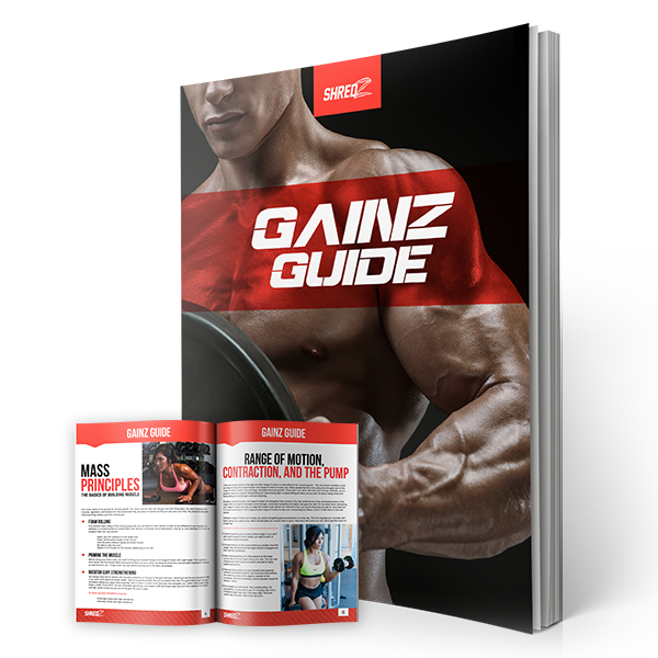 Gains Guide